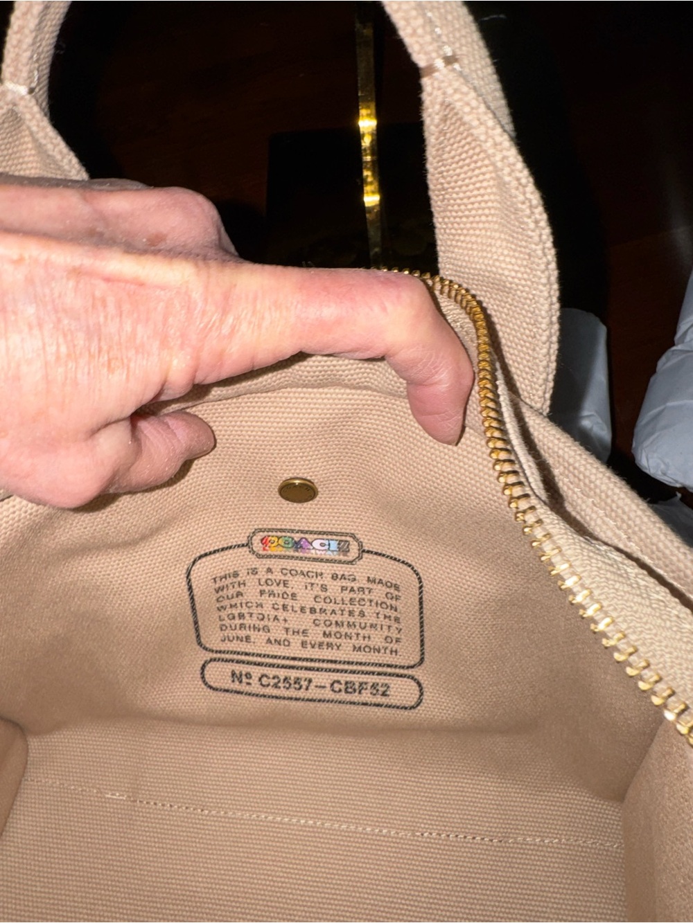 Coach Pride Canvas Tote NWOT Rainbow Embroidered + Strap + Dustbag - Picture 3 of 5